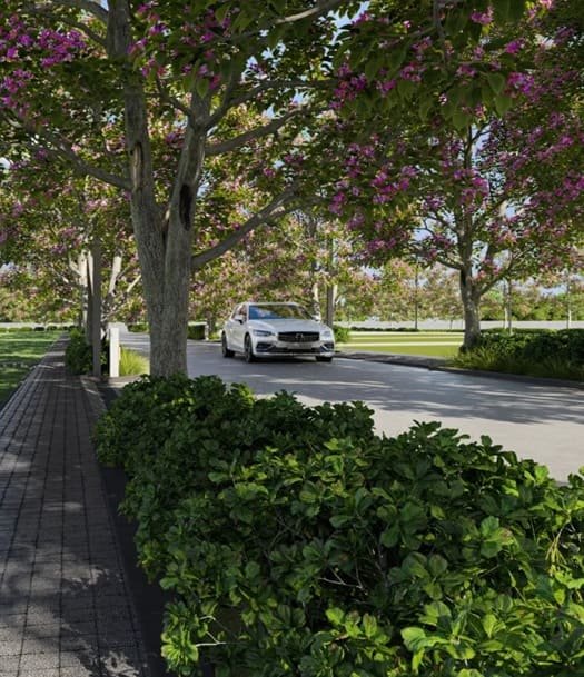 overview image Assetz Palmscape